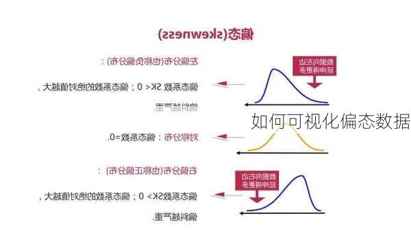 如何可视化偏态数据