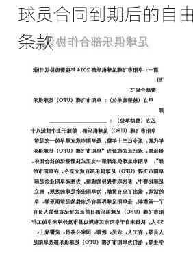球员合同到期后的自由条款