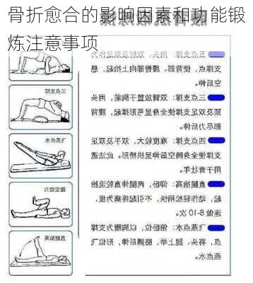 骨折愈合的影响因素和功能锻炼注意事项