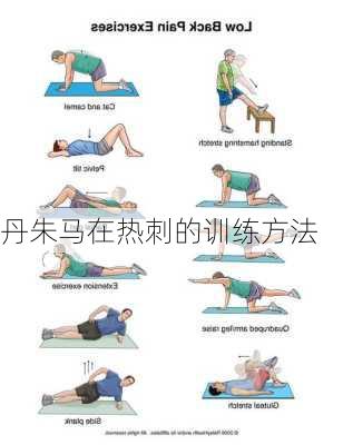 丹朱马在热刺的训练方法