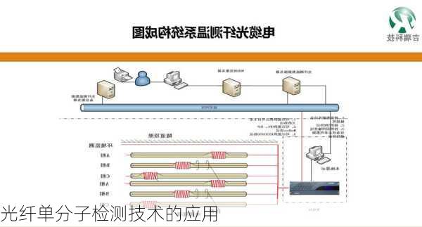 光纤单分子检测技术的应用