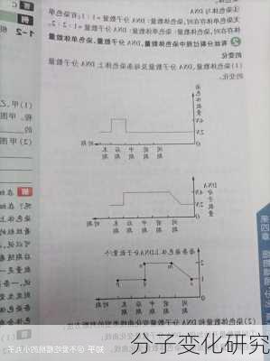 分子变化研究