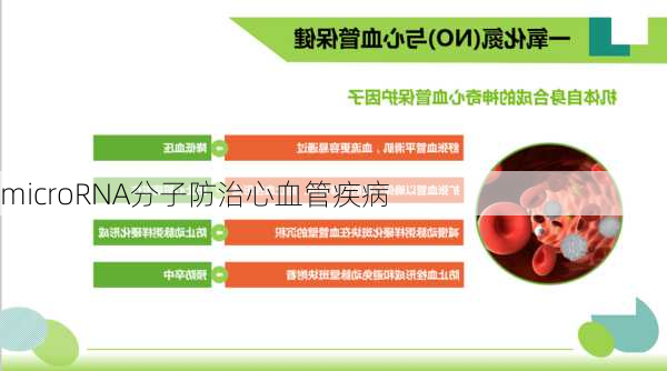microRNA分子防治心血管疾病