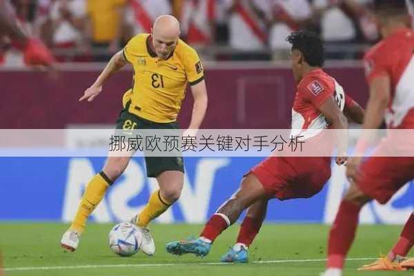 挪威欧预赛关键对手分析