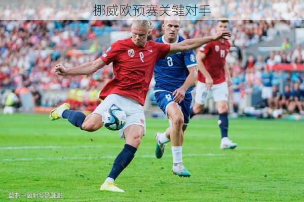 挪威欧预赛关键对手