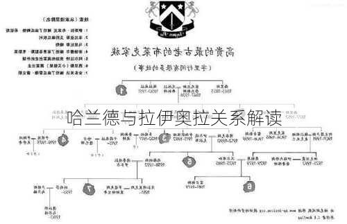 哈兰德与拉伊奥拉关系解读