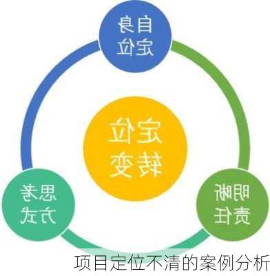 项目定位不清的案例分析
