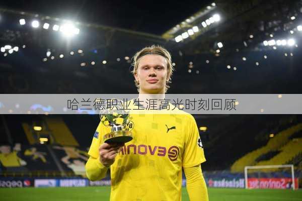 哈兰德职业生涯高光时刻回顾