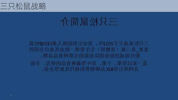 三只松鼠战略