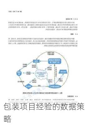 包装项目经验的数据策略