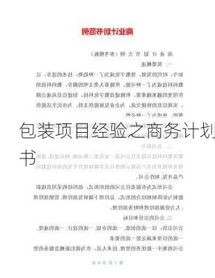 包装项目经验之商务计划书