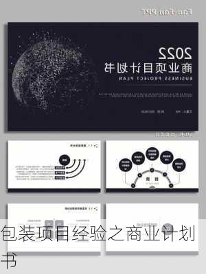 包装项目经验之商业计划书
