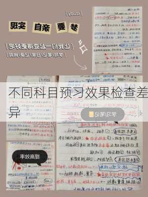 不同科目预习效果检查差异