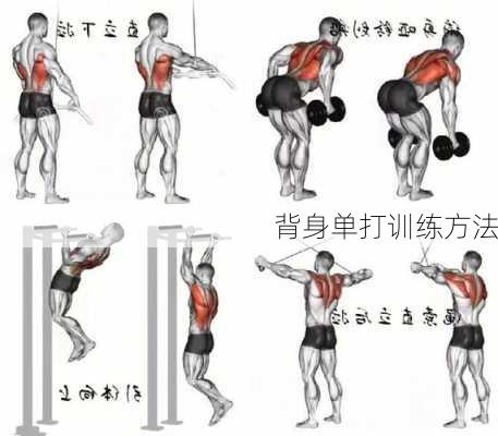 背身单打训练方法