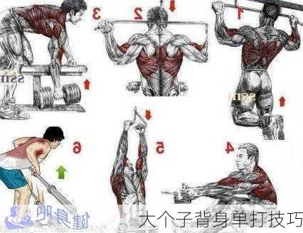 大个子背身单打技巧