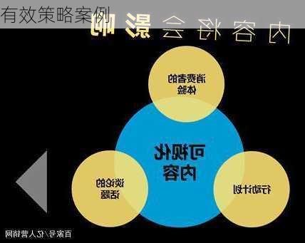 有效策略案例