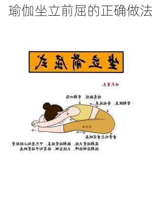 瑜伽坐立前屈的正确做法