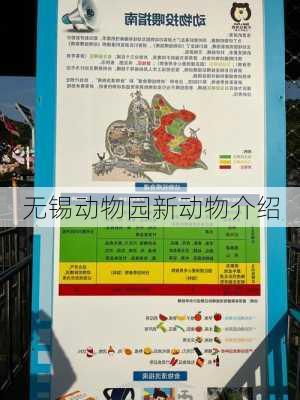 无锡动物园新动物介绍