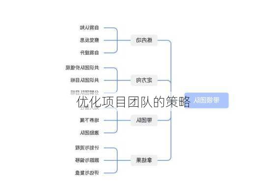 优化项目团队的策略