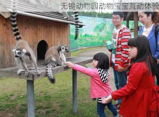 无锡动物园动物宝宝互动体验