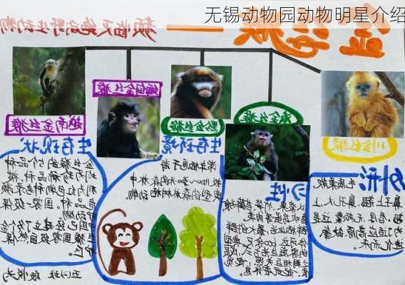 无锡动物园动物明星介绍