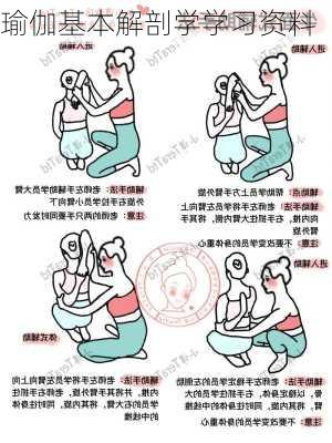 瑜伽基本解剖学学习资料