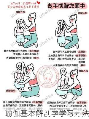 瑜伽基本解剖学学习方法