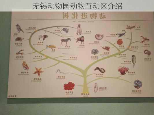 无锡动物园动物互动区介绍