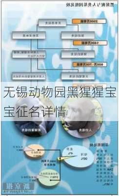 无锡动物园黑猩猩宝宝征名详情