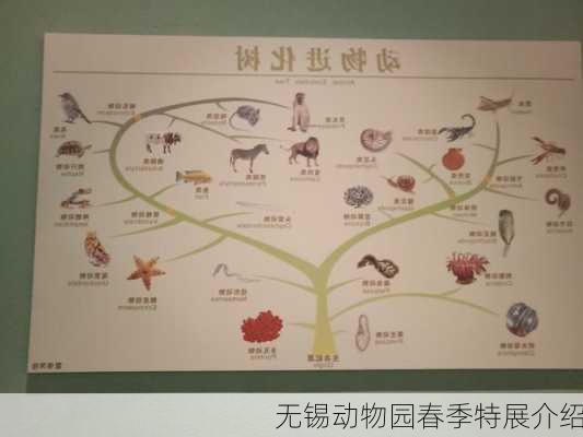 无锡动物园春季特展介绍