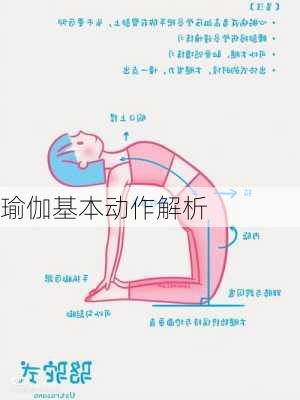瑜伽基本动作解析