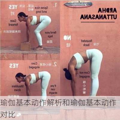 瑜伽基本动作解析和瑜伽基本动作对比