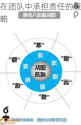 在团队中承担责任的策略