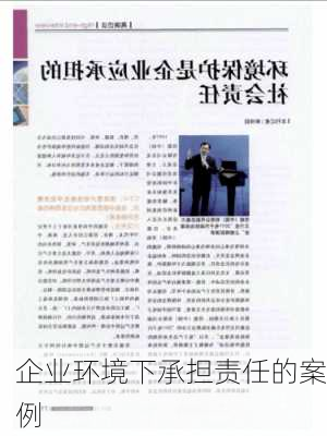 企业环境下承担责任的案例