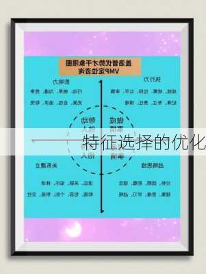 特征选择的优化