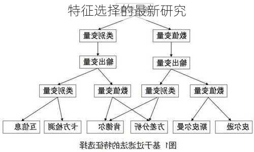 特征选择的最新研究