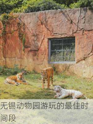 无锡动物园游玩的最佳时间段