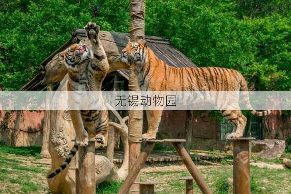 无锡动物园