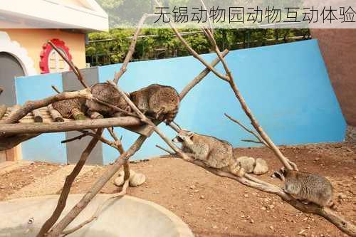 无锡动物园动物互动体验