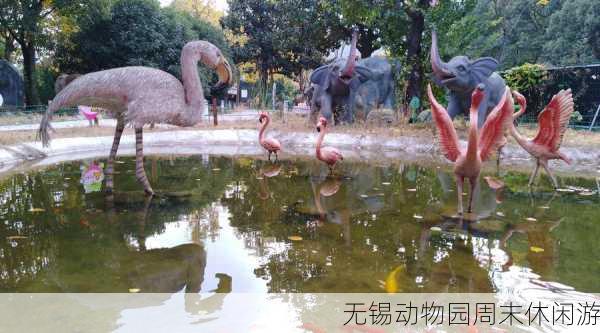 无锡动物园周末休闲游