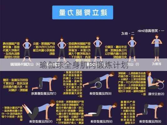 瑜伽球全身肌肉锻炼计划