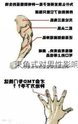 束角式对男性影响