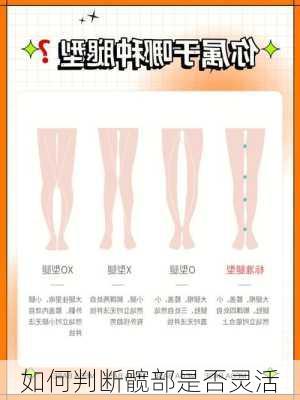 如何判断髋部是否灵活
