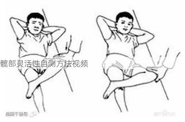 髋部灵活性自测方法视频