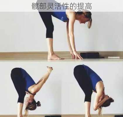 髋部灵活性的提高