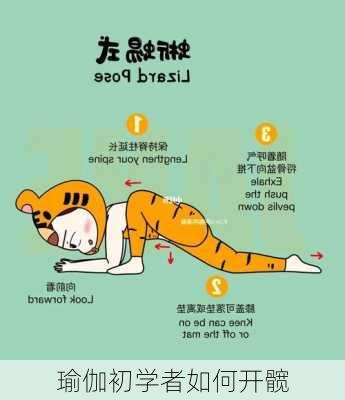 瑜伽初学者如何开髋