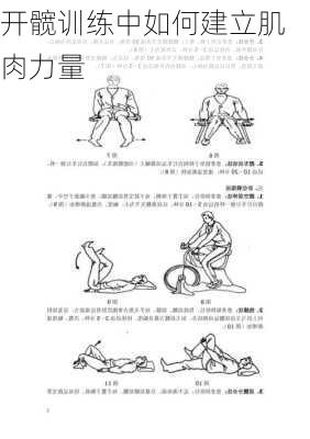 开髋训练中如何建立肌肉力量