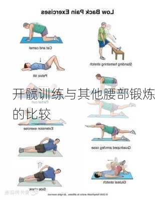 开髋训练与其他腰部锻炼的比较