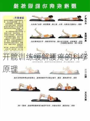 开髋训练缓解腰疼的科学原理