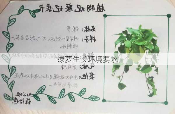 绿萝生长环境要求